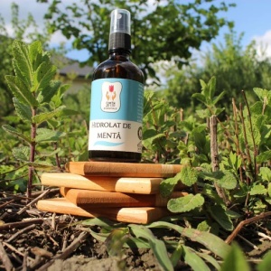 Hidrolat de Mentă 100ml - Img 3
