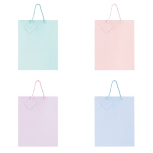 Sacosa Pastel, din hartie cu maner din snur, 17.8 x 23 x 9.8 cm (20 buc/display)