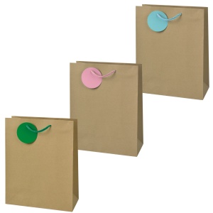 Sacosa Kraft, din hartie cu maner din snur, 26 x 32.5 x 12.7 cm (20 buc/display)