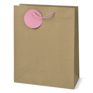 Sacosa Kraft, din hartie cu maner din snur, 26 x 32.5 x 12.7 cm (20 buc/display) - Img 2
