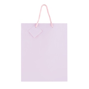 Sacosa Pastel, din hartie cu maner din snur, 17.8 x 23 x 9.8 cm (20 buc/display) - Img 2