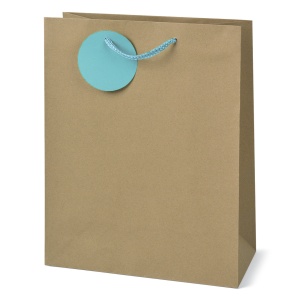 Sacosa Kraft, din hartie cu maner din snur, 26 x 32.5 x 12.7 cm (20 buc/display) - Img 3