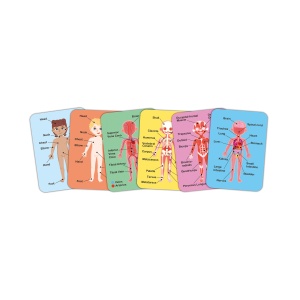 Puzzle magnetic pentru copii - Corpul uman (68 piese) - Img 5