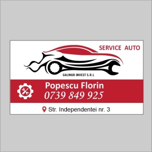 Cărți de vizită -Service auto 2-