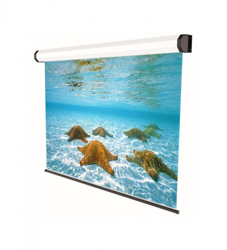 Ecran de proiectie electric SOPAR Professional 5351, 350cm x 265cm
