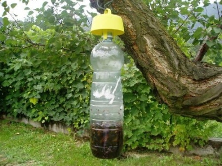 Set 5 Capace Capcană pentru Insecte TAP-TRAP, cu Momeală Naturală, pentru Muște, Viespi, Hornete și Alte Insecte, Utilizare Exterior, Galben - Img 2