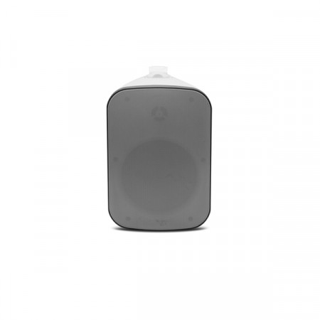 Boxe de exterior DSPPA DSP5040 40W, 8 Ohmi/100V, IP65 (pereche)