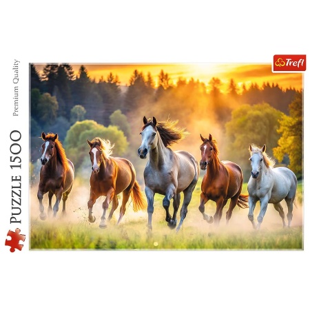 PUZZLE TREFL 1500 CAL SALBATIC - Img 3