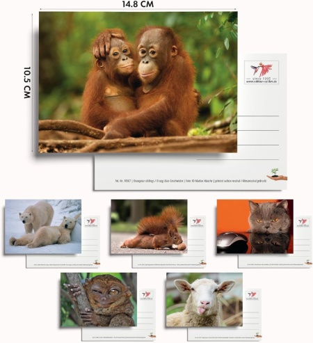 Set 100 Cărți Poștale cu Animale Edition Colibri, Toate Diferite, Finisaj Lucios cu Lac UV, Ideale pentru Colecționari, Școli sau Postcrossing - Img 4