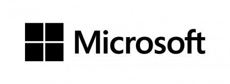 Sistem de Operare Microsoft Windows Server 2019 HPE (16-Core)