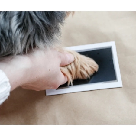 Tampon cu Cerneală Clean-Touch pentru Amprente Lăbuțe de Animale (Câini și Pisici), Set pentru Pătuțe de 5.7 x 8.9 cm, 100% Fără Murdărie, Include 2 Carduri - Img 6