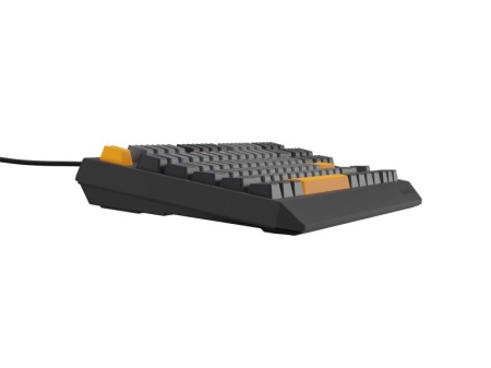 Tastatura Genesis Thor 230 TKL R gri - Img 8