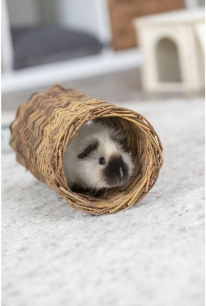 Tunel din Răchită Trixie 13 x 15 cm, Culcuș și Jucărie 100% Naturală pentru Porcușori de Guineea și Rozătoare Mici - Img 2