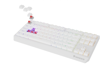 Tastatura WS Genesis Thor 230 TKL R alb - Img 2