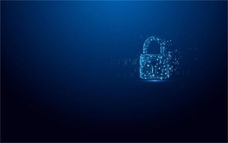 Kingston Ironkey Vault Privacy 64GB - Img 9