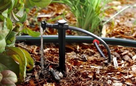 Picurător / Emițător Irigare prin Picurare Rain Bird SW20-30PS (2 GPH / 7.6 L/h), Set 30 Bucăți, Compensare de Presiune, Roșu/Negru, pentru Tub de 1/4" sau 1/2" - Img 5