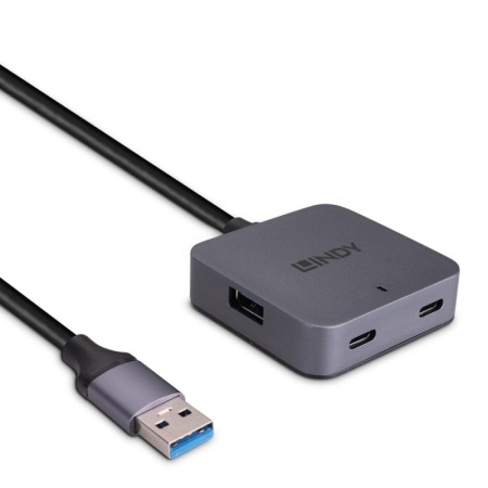 Hub Lindy 4 Port USB 3.0 5m - Img 5