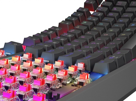 Tastatura WS Genesis Thor 230 TKL R ng - Img 15