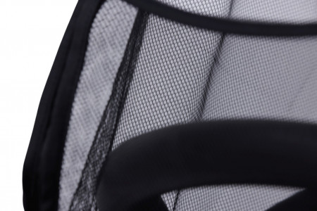 PLASA INSECTE CARUCIOR HAMILTON - Img 2