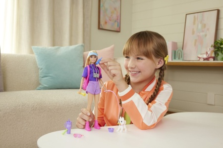 BARBIE FAMILY AND FRIENDS SET PAPUSA BARBIE MALIBU SI ACCESORII AVENTURI IN AER LIBER - Img 3