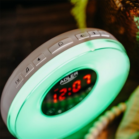CEAS DESTEPTATOR ALARMA FM RADIO - Img 3