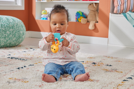 FISHER PRICE JUCARIE ZORNAITOARE VIDRA - Img 3