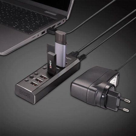 Hub Lindy 7 Port USB 3.0 3x QuickCharge - Img 9