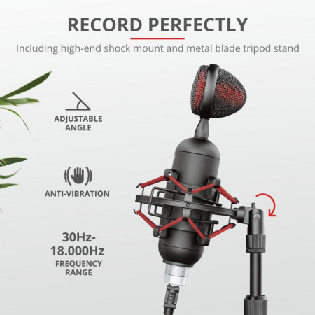 Trust GXT 244 Buzz USB Streaming Mic - Img 4
