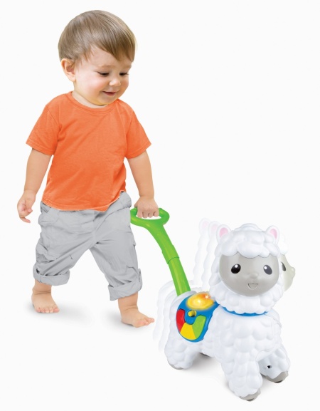 WINFUN JUCARIE DE IMPINS ALPACA - Img 3