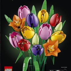 BOTANICALS 11501 LEGO11501 - Img 2