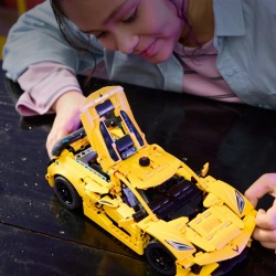 CHEVROLET CORVETTE STINGRAY, LEGO 42205 - Img 9