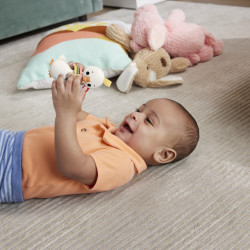 FISHER PRICE JUCARIE ZORNAITOARE GASCA - Img 3