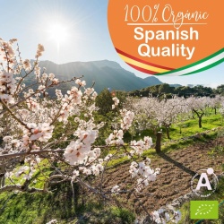 Ulei de migdale dulci organic 5L, 100% pur, presat la rece, pentru masaj profesional, îngrijire corp, ten, păr și vergeturi - Img 6