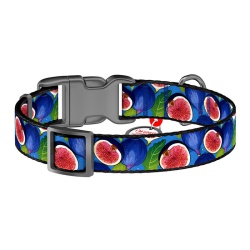 Zgarda din nailon cu cod QR pentru caine Waudog „Figa”, marimea XL - Img 4