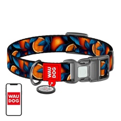 Zgarda din nailon cu cod QR pentru caini Waudog "Oranges", marimea XL