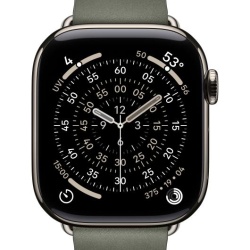 AW BAND 42MM MODERN BUCKLE SAGE GRAY L