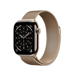 AW S11 42 Cel Gold Titan Gold Milan Loop