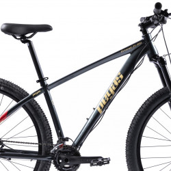Bicicleta MTB Pegas DRUMET PRO M 29'' GRI CARBON - Img 2
