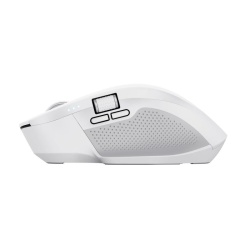 Mouse Trust Ozaa+ 3200 DPI, alb - Img 10