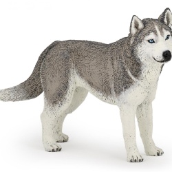 PAPO FIGURINA HUSKY SIBERIAN