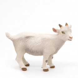 PAPO FIGURINA IED ALB - Img 2