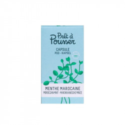 Seminte Pret a Pousser Moroccan Mint