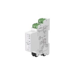 Smart Meter EcoFlow Shelly