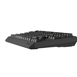 Tastatura Genesis Thor 230 TKL R negru - Img 10