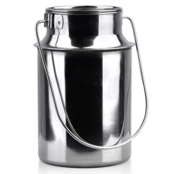 Bidon pentru lapte, Orion, Inox, 3.2 l, 17 x 22.5 cm, Argintiu