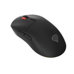 GENESIS Zircon XIII mouse