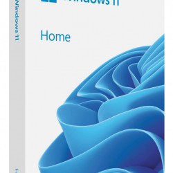 Microsoft® Windows 11 Home, 64-bit, Engleza, USB