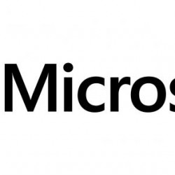 Sistem de Operare Microsoft Windows Server 2019 HPE (16-Core)