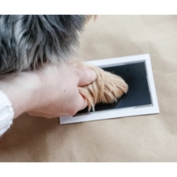Tampon cu Cerneală Clean-Touch pentru Amprente Lăbuțe de Animale (Câini și Pisici), Set pentru Pătuțe de 5.7 x 8.9 cm, 100% Fără Murdărie, Include 2 Carduri - Img 6
