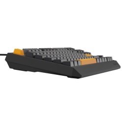 Tastatura Genesis Thor 230 TKL R gri - Img 8